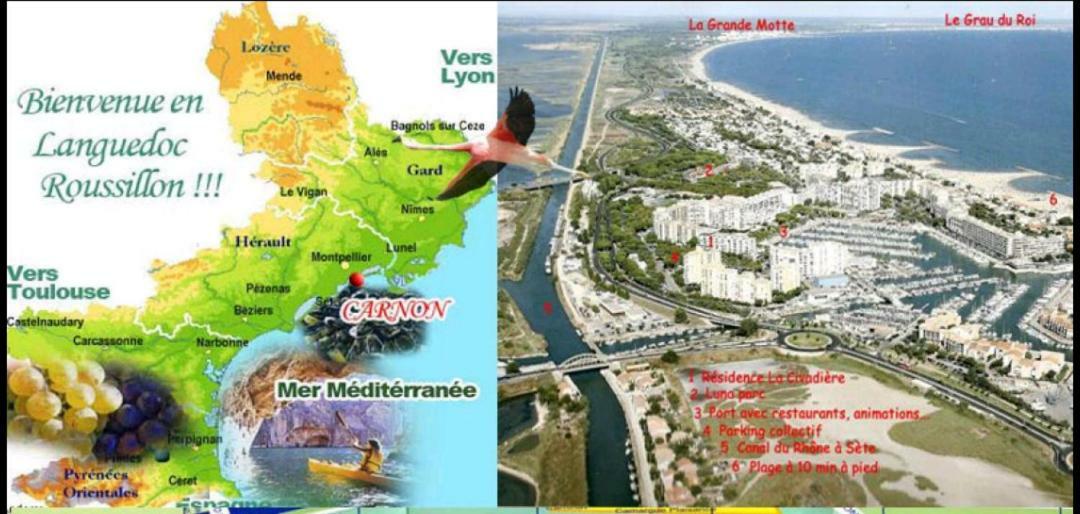 Suite-Junior -Villa Helene - Montpellier Sud - Aeroport- Piscine Privee-2Mn Des Plages Pérols Zewnętrze zdjęcie